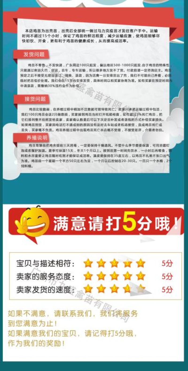 广州孵化出壳正宗胡须鸡苗胡子鸡苗土鸡苗包做疫苗全国发货