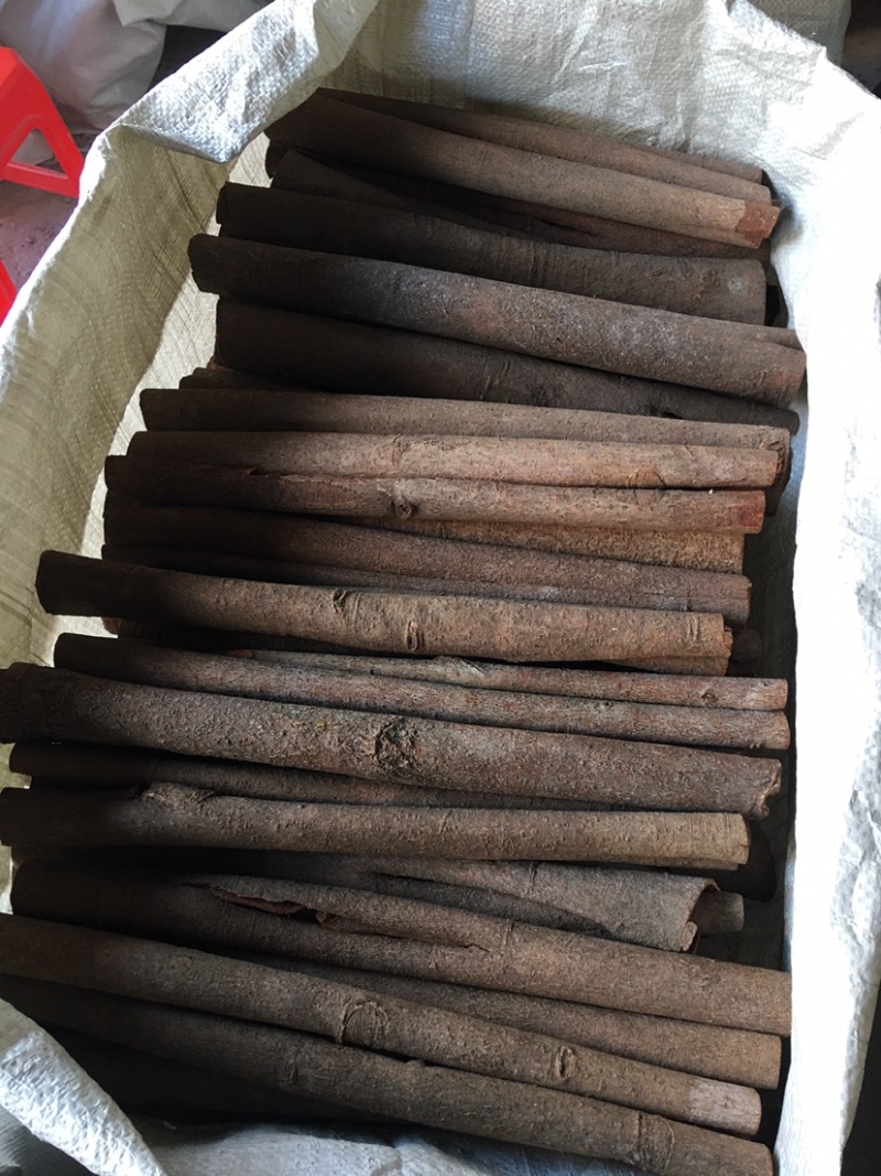 桂皮选中大通