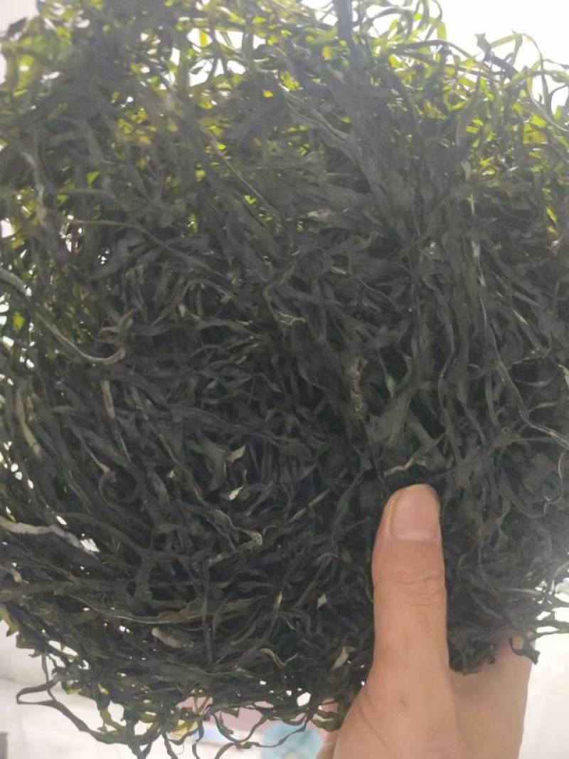 海带丝烘干海带丝压缩海带丝海带干干海带干海带丝