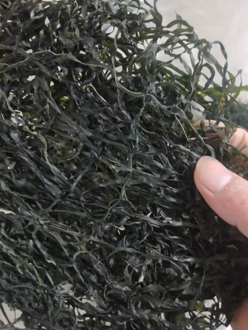 海带丝烘干海带丝压缩海带丝海带干干海带干海带丝
