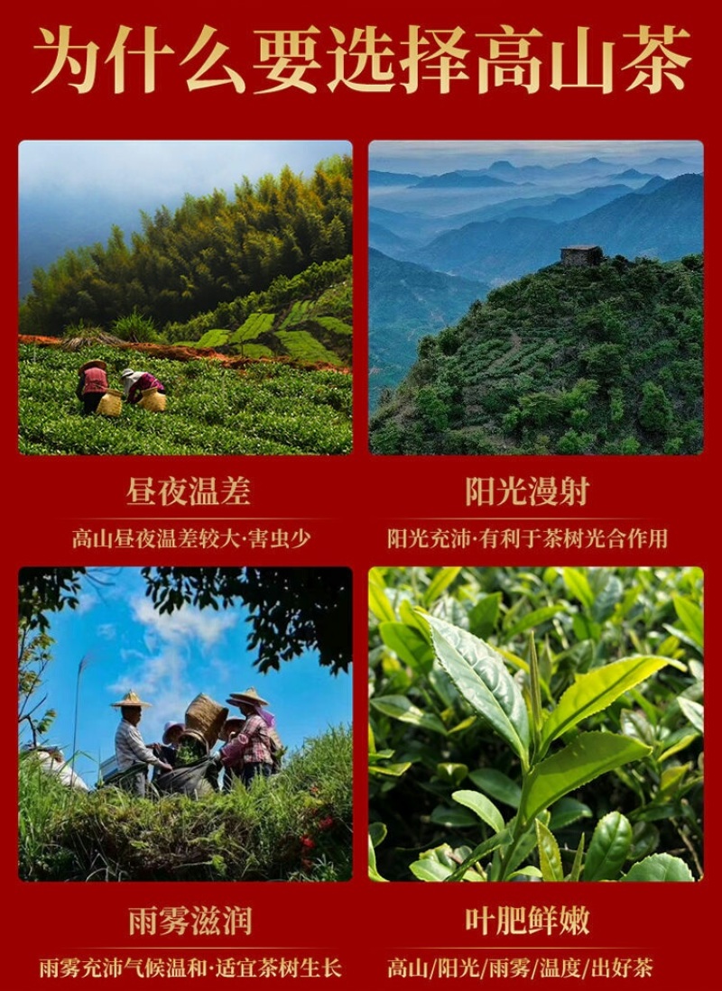安溪铁观音