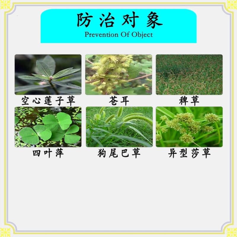 农一网百速达20%草铵膦除草剂果园小区空地杂草除草剂