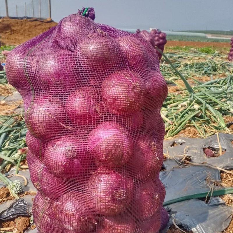 洋葱大量有货量大需要合作电商各大渠道都可以