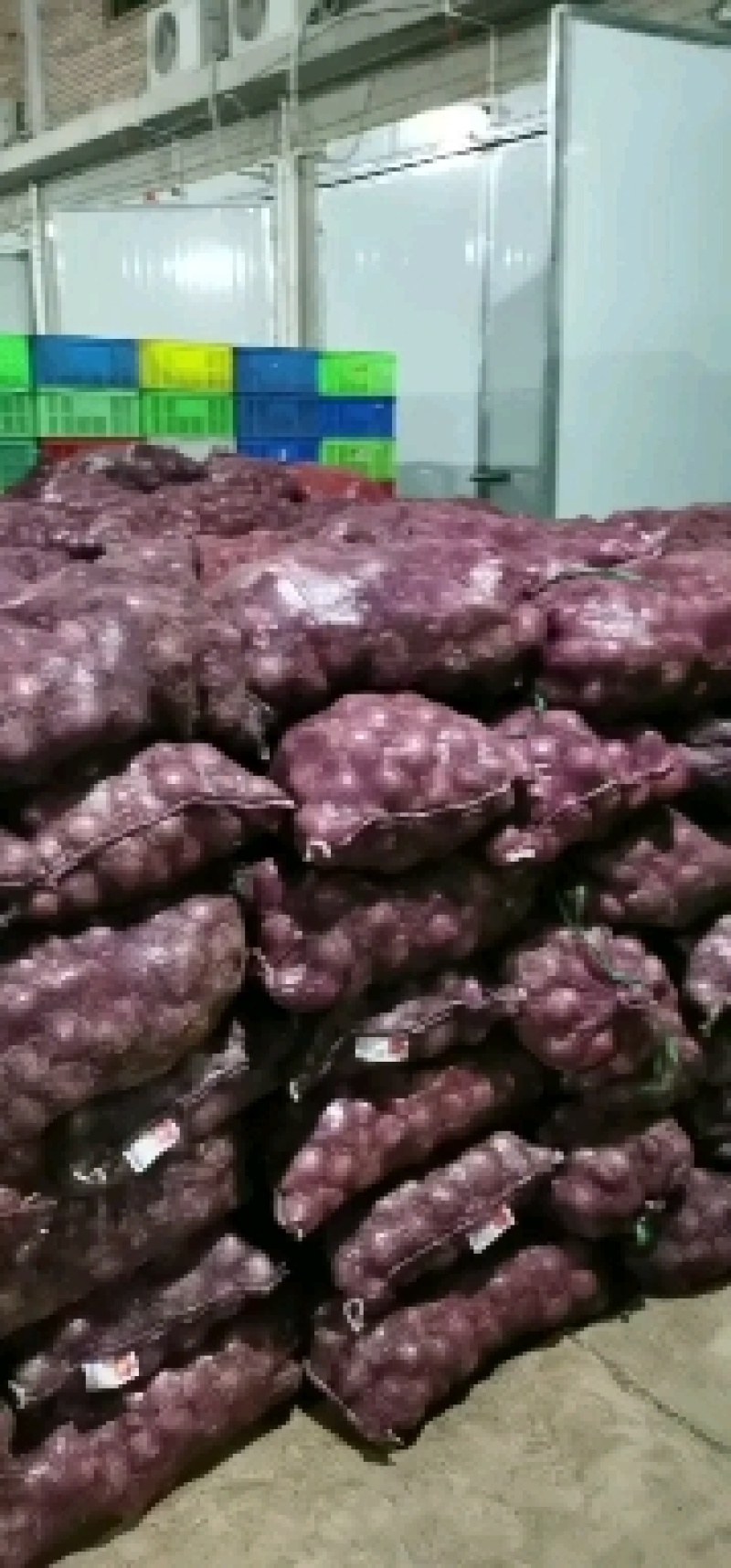 洋葱大量有货量大需要合作电商各大渠道都可以