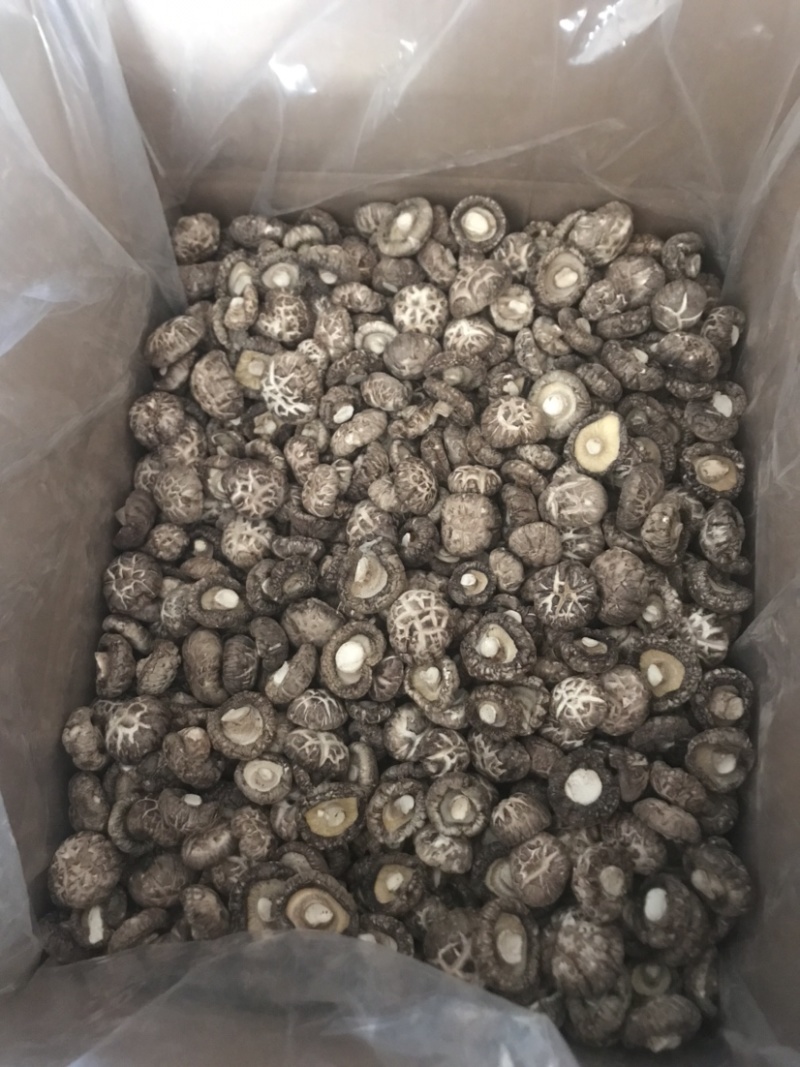 精选干香菇大小型号，产地发货，质美价优