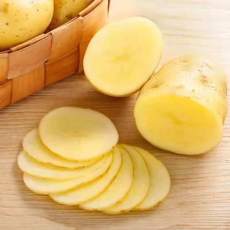 精品黄心土豆马铃薯湖北土豆大量供应保质保量欢迎订购