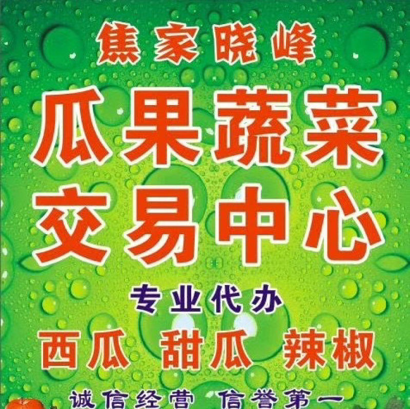 陕西甜王西瓜大量供应、个头大、皮毛好、8斤起步、熟度9成