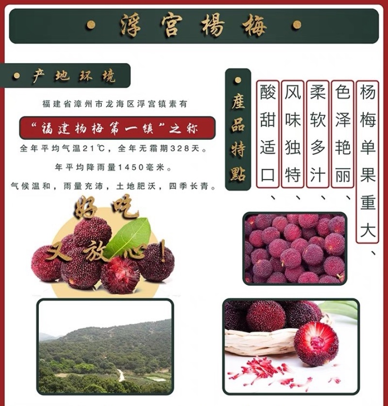 浮宫杨梅批发市场供应电商一件代发代办产地直销