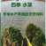 矮生苦草，水草，养虾养蟹，全国包邮，