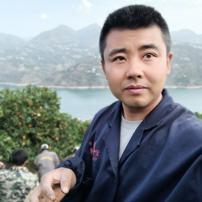 奉节《福本脐橙》《纽荷尔脐橙》