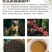 猫屎咖啡进口食品马来西亚三合一咖啡速溶咖啡