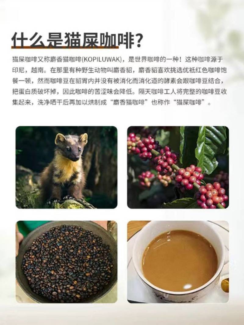 猫屎咖啡进口食品马来西亚三合一咖啡速溶咖啡