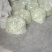 平度芸豆大量上市中。有需要的老板联系