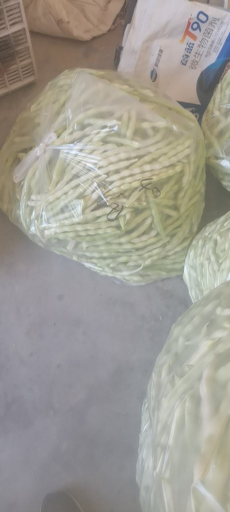 平度芸豆大量上市中。有需要的老板联系