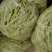 平度芸豆大量上市中。有需要的老板联系