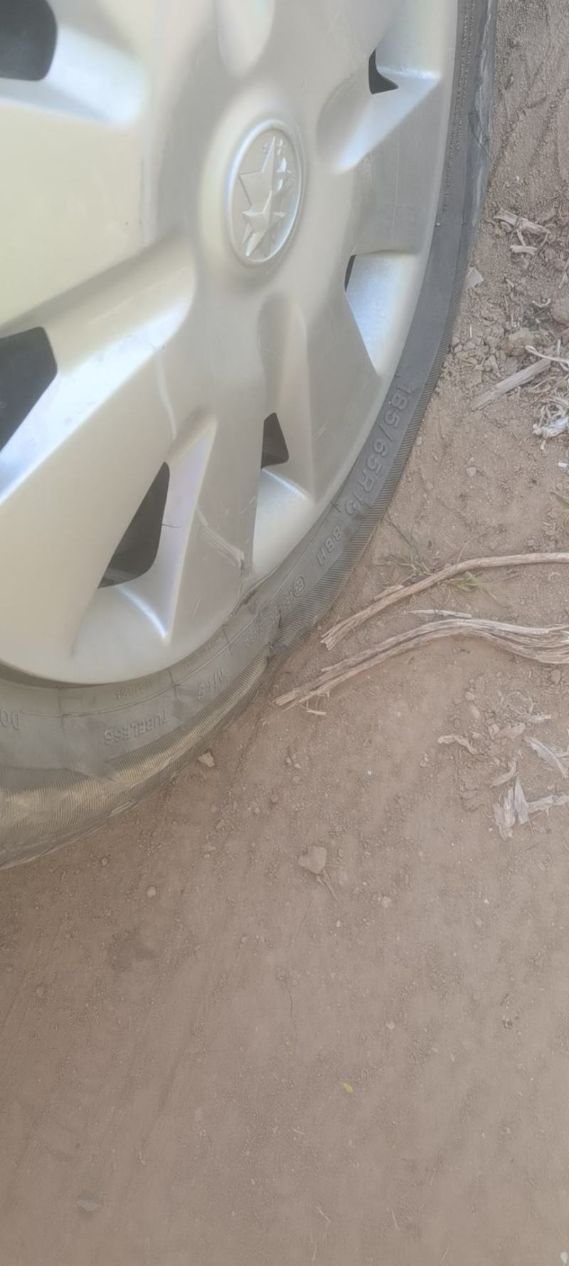 平度芸豆大量上市中。有需要的老板联系