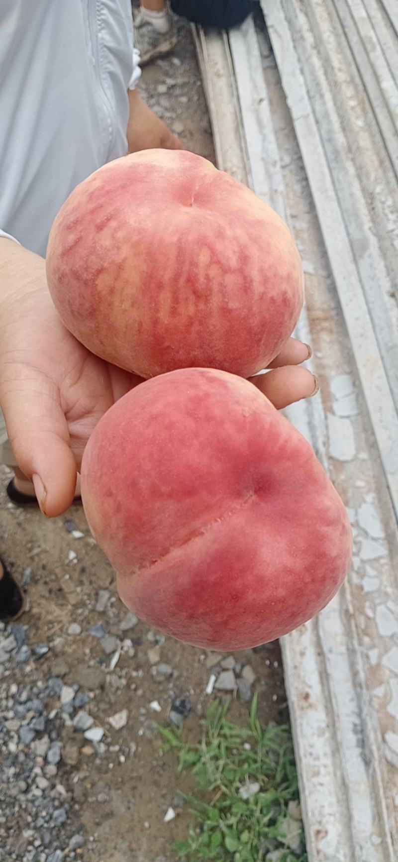 卫辉市唐庄镇鲜桃