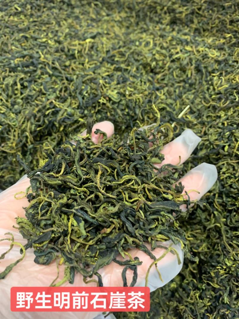 大瑶山野生石崖茶养生茶明前头春茶嫩芽量大价优