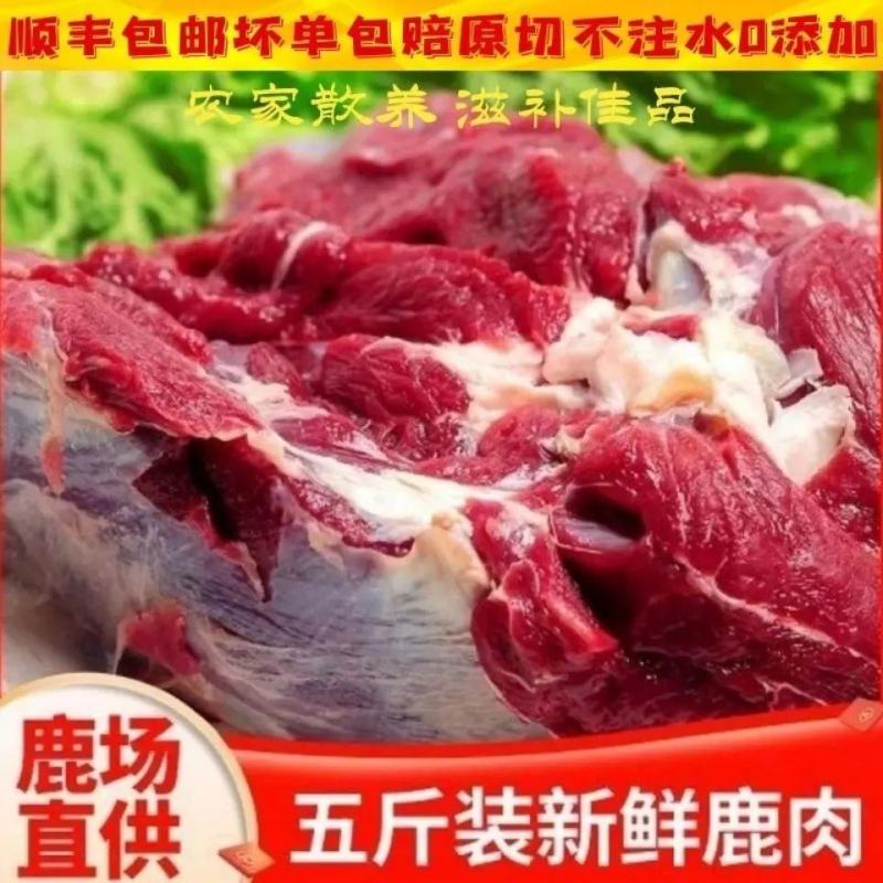 5斤新鲜鹿肉现杀梅花鹿肉大块肉新鲜梅鲜鹿蹄筋冷冻保鲜鹿
