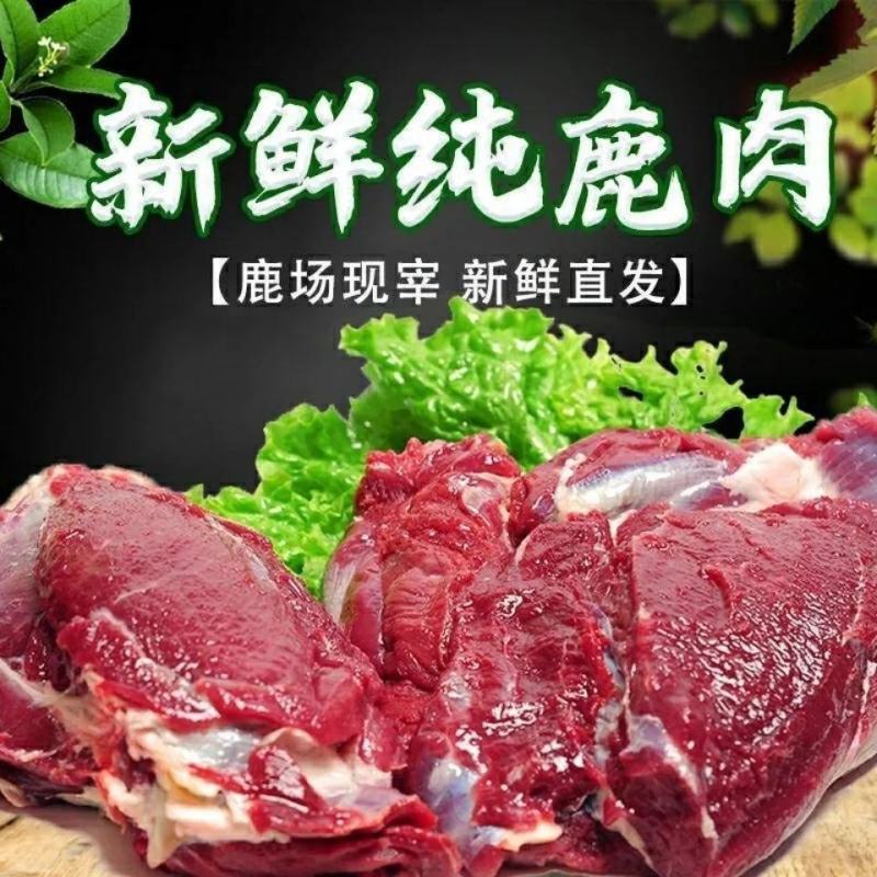 5斤新鲜鹿肉现杀梅花鹿肉大块肉新鲜梅鲜鹿蹄筋冷冻保鲜鹿