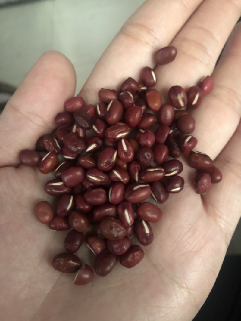 红小豆红豆下料整粒略瑕疵做豆沙做蜜豆原料价格实惠