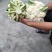 贵州松花菜基地一手货源市场超市电商量优先全国发货欢迎下单