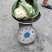贵州松花菜基地一手货源市场超市电商量优先全国发货欢迎下单