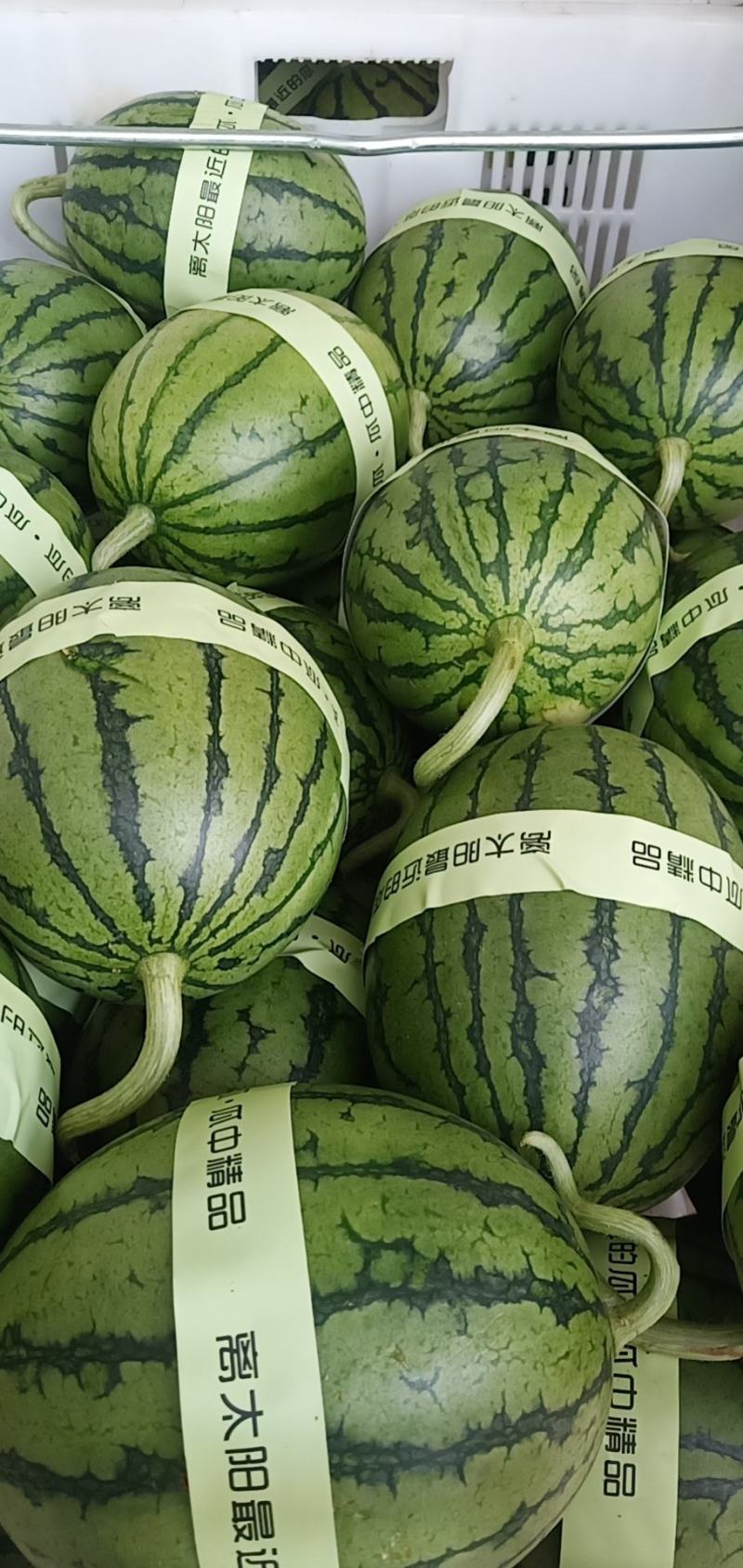 生姜