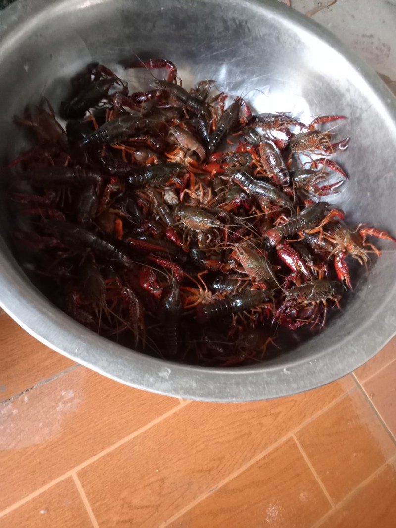 小龙虾