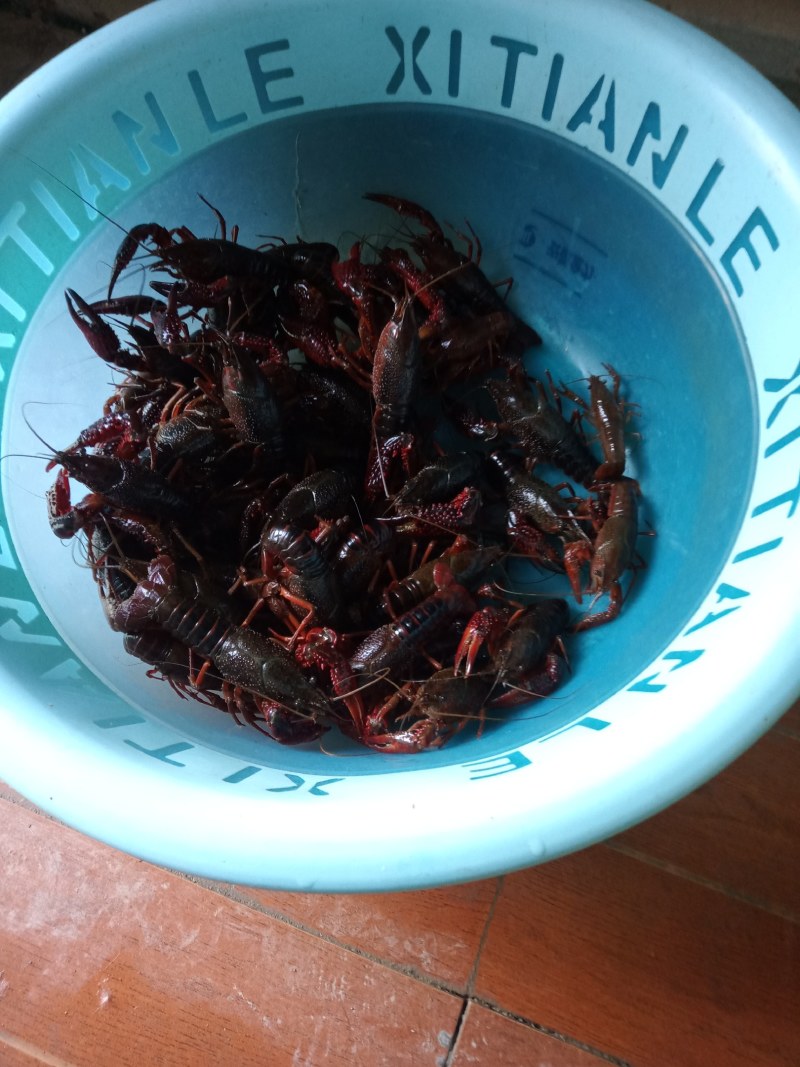 小龙虾