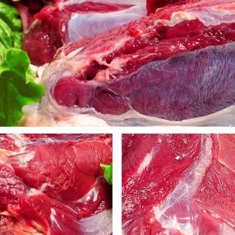 新鲜梅花鹿肉冷链运输现杀梅花鹿腿肉冷冻生鲜原切鹿肉鹿场发