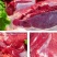 新鲜梅花鹿肉冷链运输现杀梅花鹿腿肉冷冻生鲜原切鹿肉鹿场发