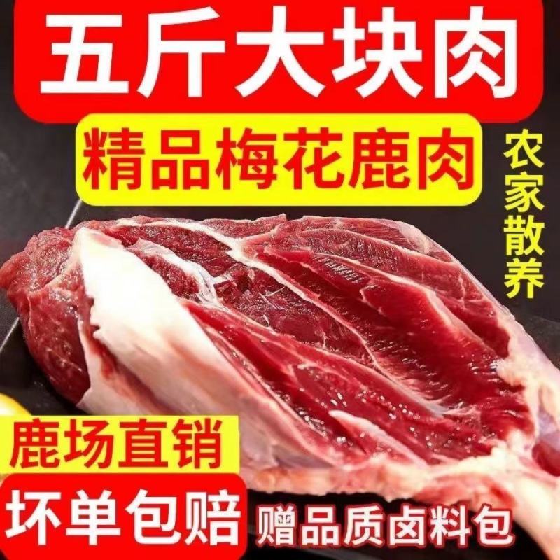 新鲜梅花鹿肉冷链运输现杀梅花鹿腿肉冷冻生鲜原切鹿肉鹿场发