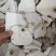 安徽精品茯神茯神木常年加工无硫茯神木量大从优