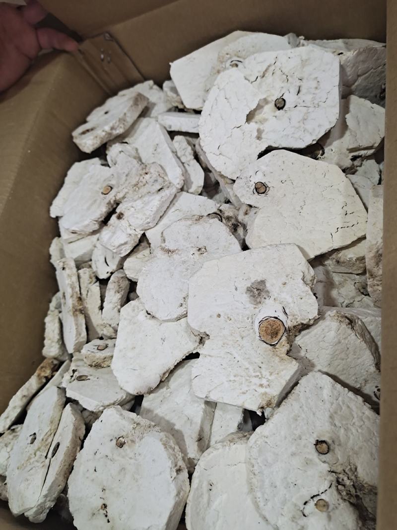 安徽精品茯神茯神木常年加工无硫茯神木量大从优