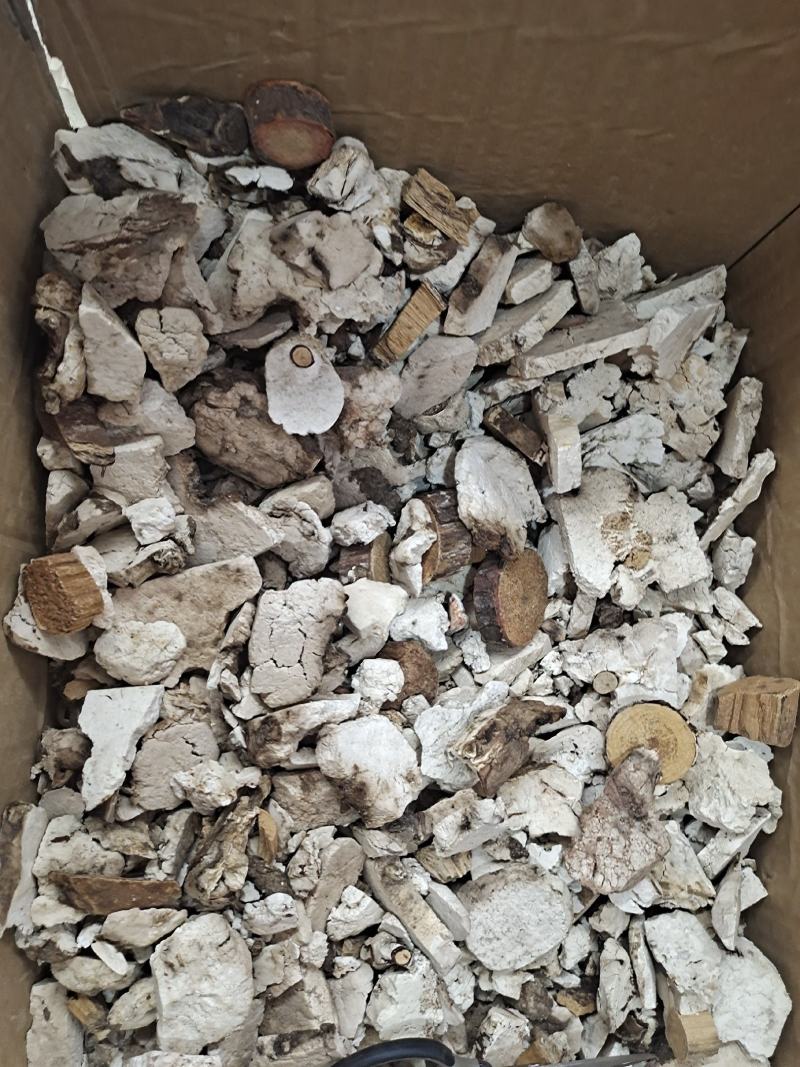 安徽精品茯神茯神木常年加工无硫茯神木量大从优