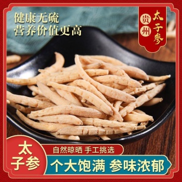 贵州太子参中药材太子参孩儿参正宗中药材批发太子参