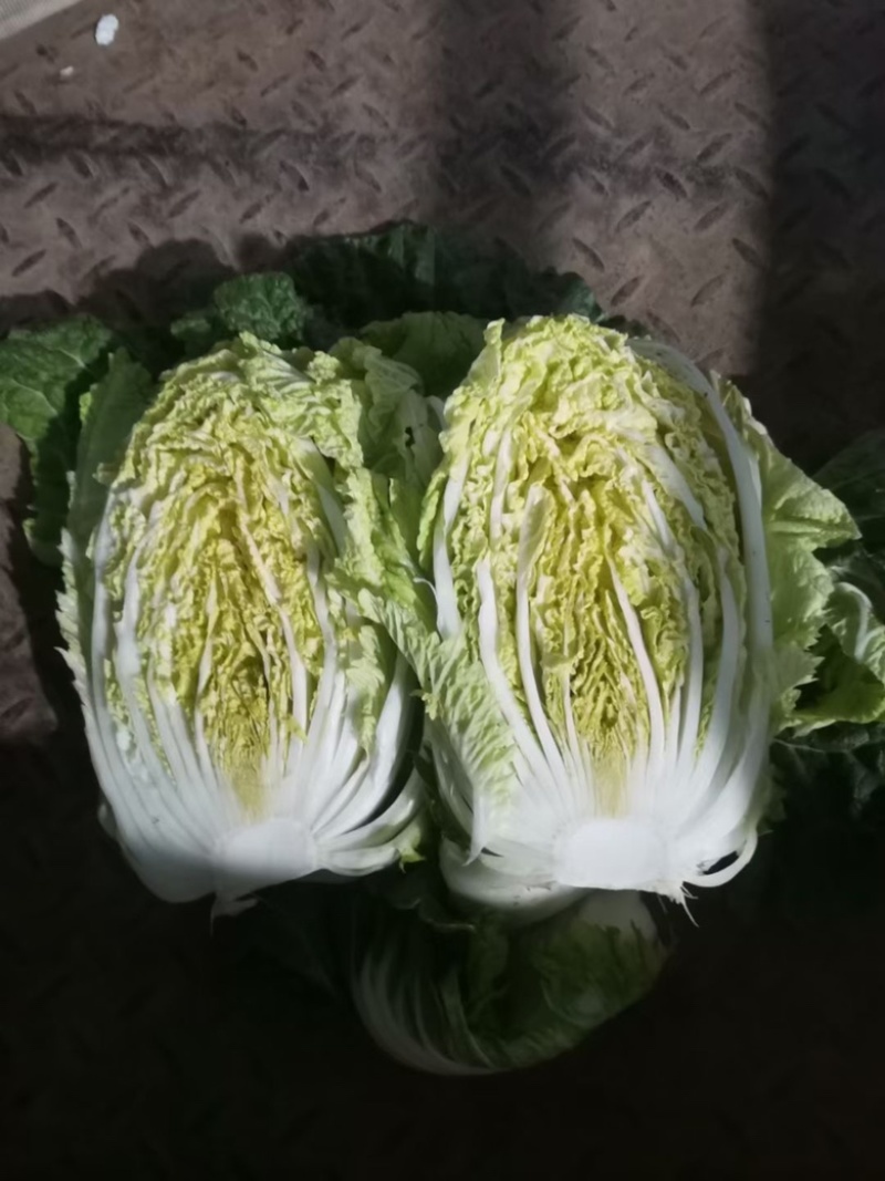 产地直销，精品秦福皇白菜