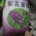 紫花苜蓿种子