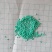 紫花苜蓿种子