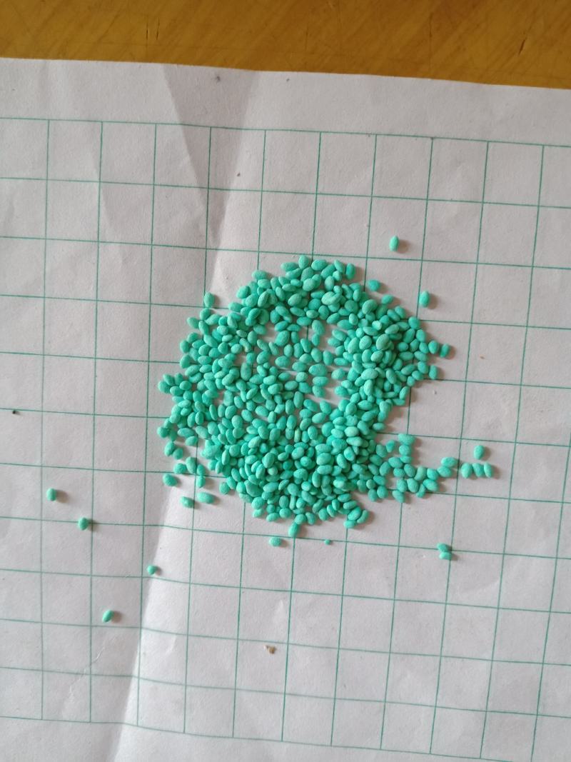 紫花苜蓿种子