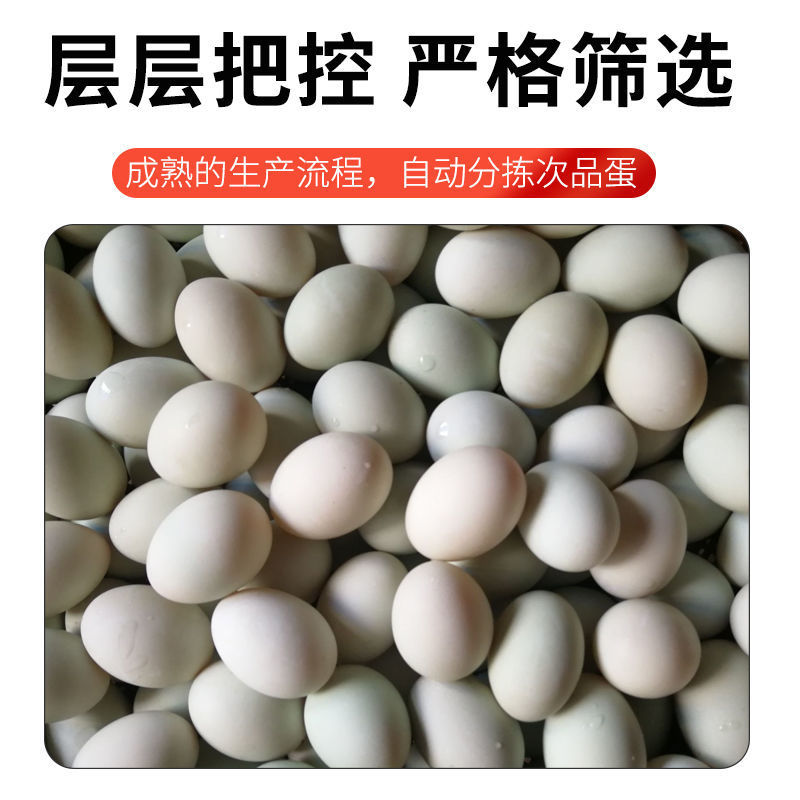 皮蛋松花蛋批发农家正宗无铅工艺溏心皮蛋70-80g超大溏