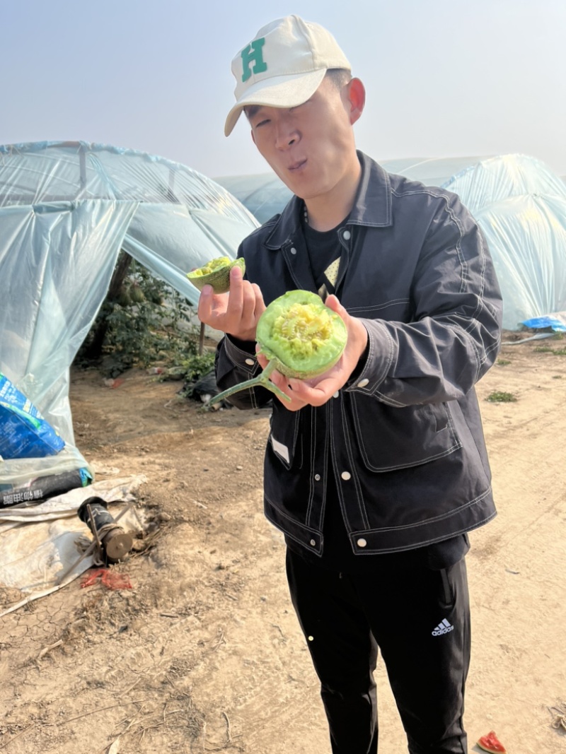 绿宝石：青皮脆瓜。香甜可口。味美多汁。需要☎️