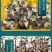 广州孵化出壳马岗鹅苗灰鹅苗大种杂交鹅苗包做疫苗全国发货