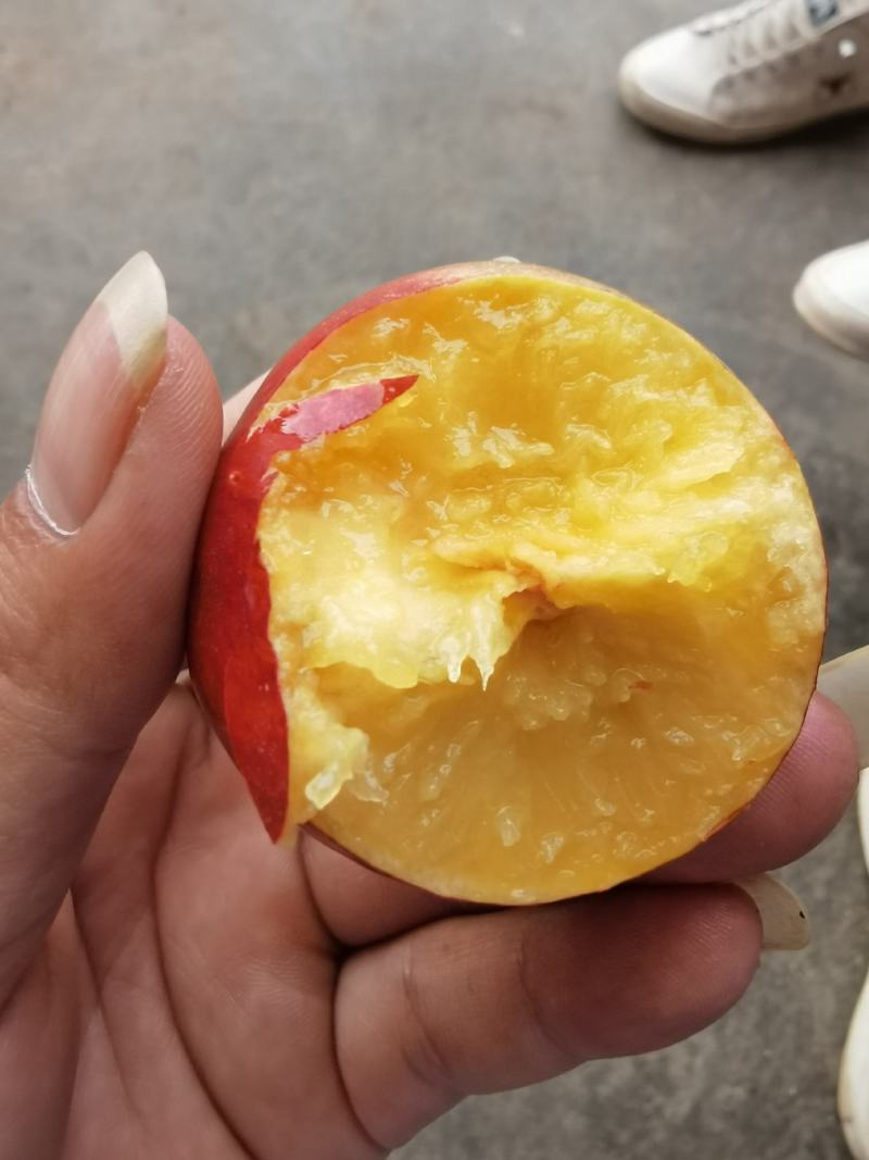 黄白肉油桃上市了