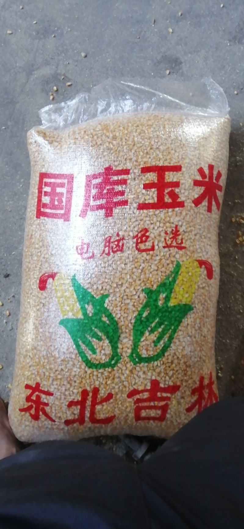 新干玉米大量有货包米包谷烘干玉米漂亮玉米包装玉米