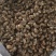 蝉蜕统装500g产地山东振兴药材购销站量大从优