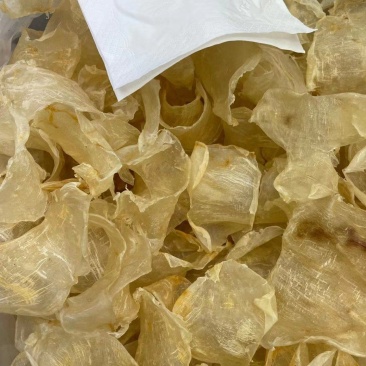 缅甸胶片