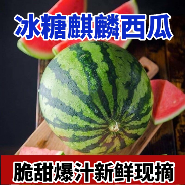 湖南8424西瓜！麒麟西瓜！现摘现发！可视频