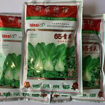南京理想北京绿亨日本进口冬妃青梗菜种子油菜鸡毛菜种子高产